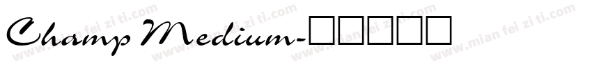 Champ Medium字体转换